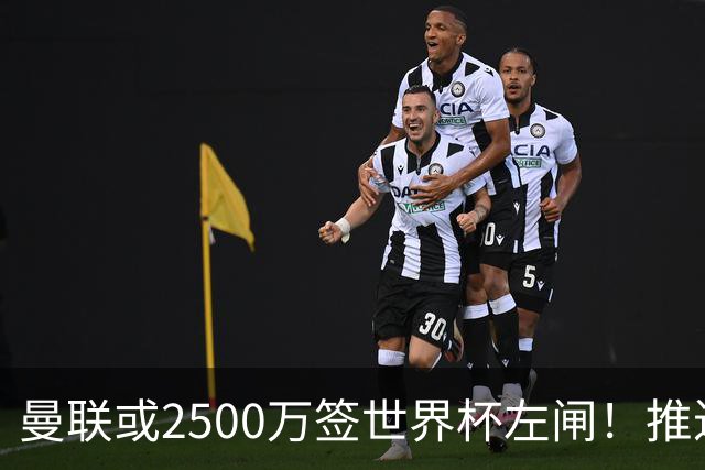 曼联或2500万签世界杯左闸！推迟引进时间，卡里克将先考察两小妖